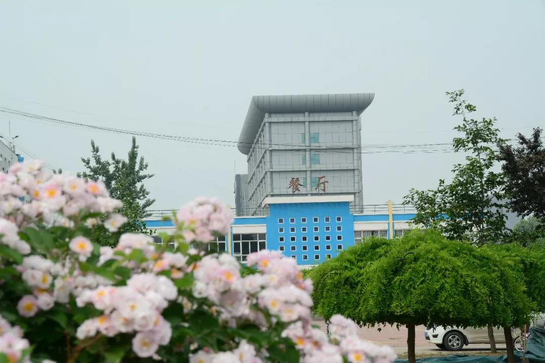 1528681356307437.jpg 1528681356307437.jpg