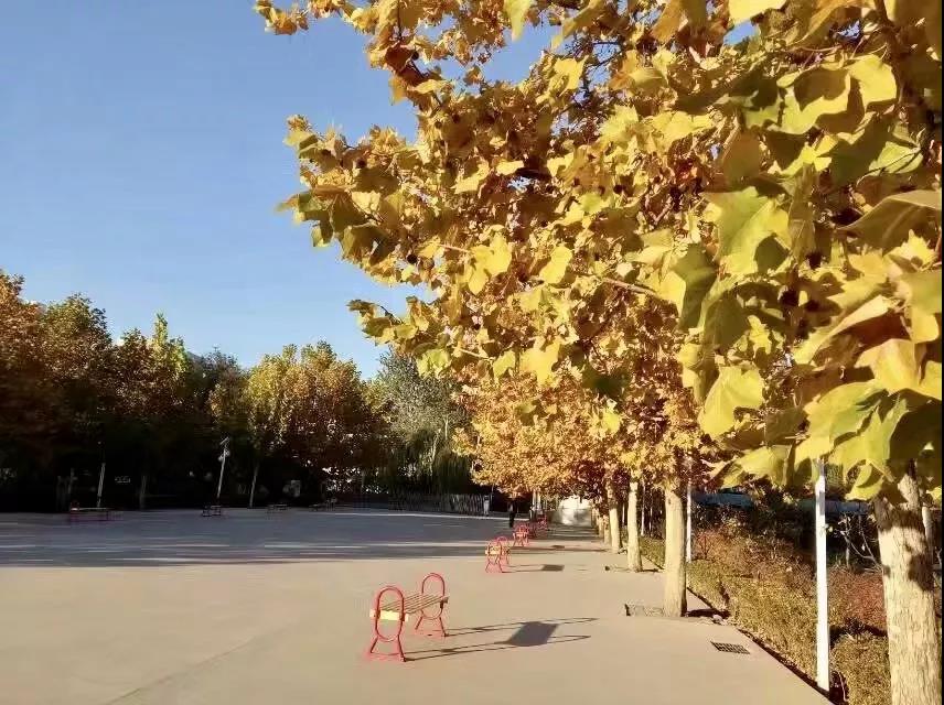 1528681356594903.jpg 1528681356594903.jpg