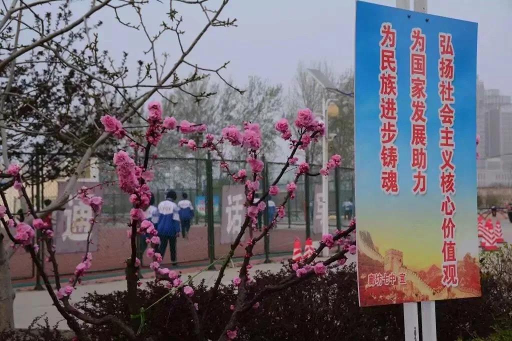 1528681475635215.jpg 1528681475635215.jpg