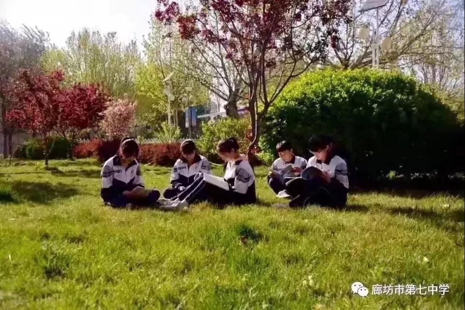 1546064137995893.jpg 1546064137995893.jpg