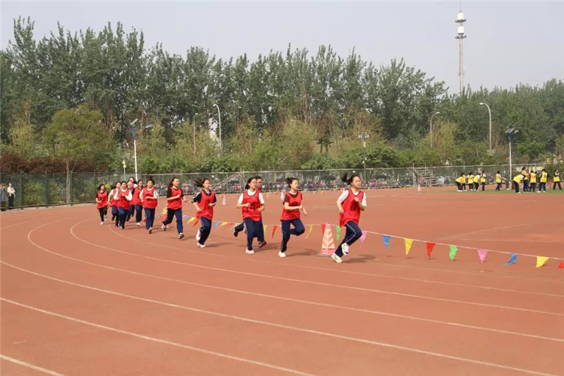 1556102198897539.jpg 1.jpg