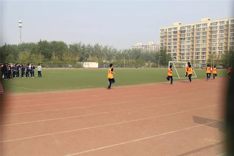 1556102227436466.jpg 3.jpg