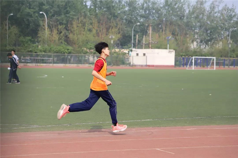 1556102233568413.jpg 4.jpg
