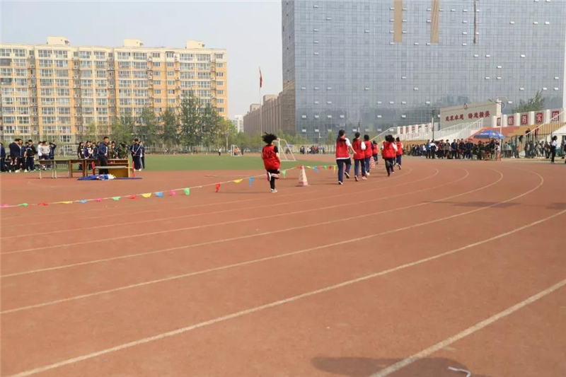 1556102238654525.jpg 5.jpg