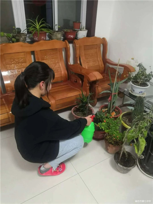 1583038908521210.jpg 25.jpg