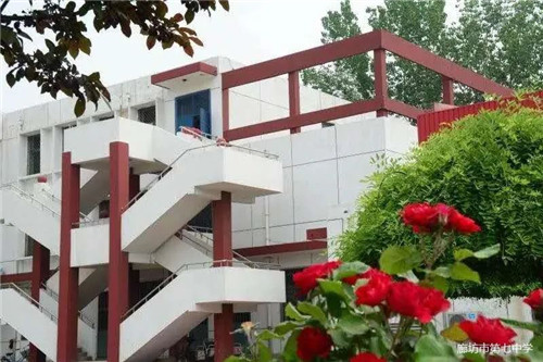 1583194001818866.jpg 2.jpg