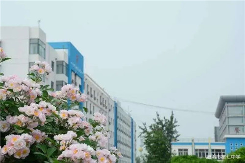 1583194004953963.jpg 3.jpg