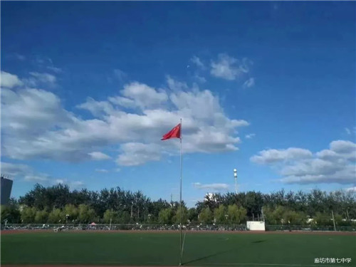 1583194014286931.jpg 6.jpg