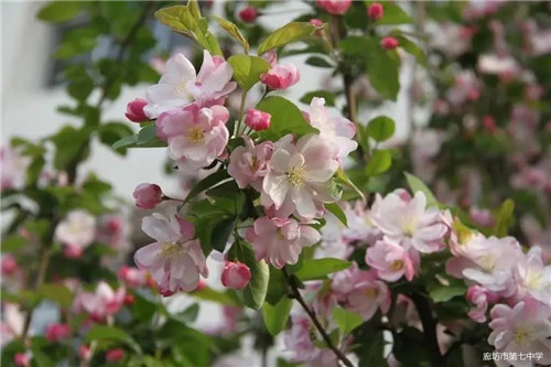 1583194345384262.jpg 29.jpg