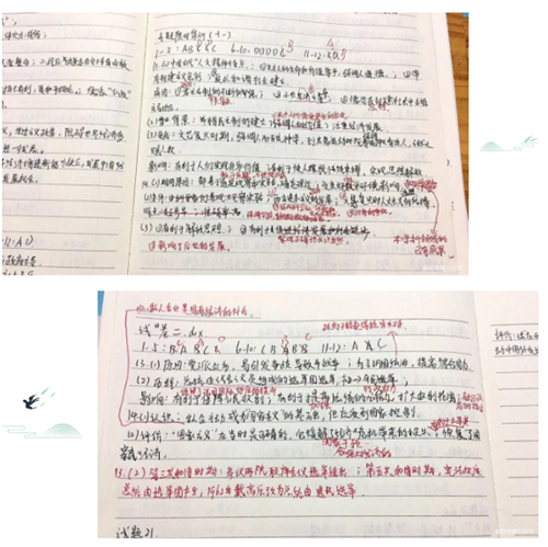 1583911358202812.png 17.png