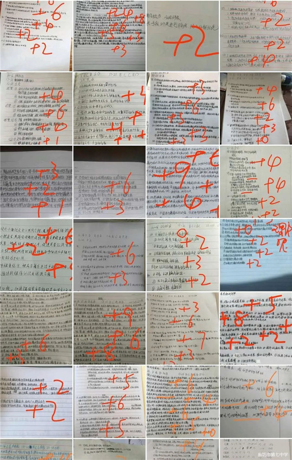 1587276375379856.jpg